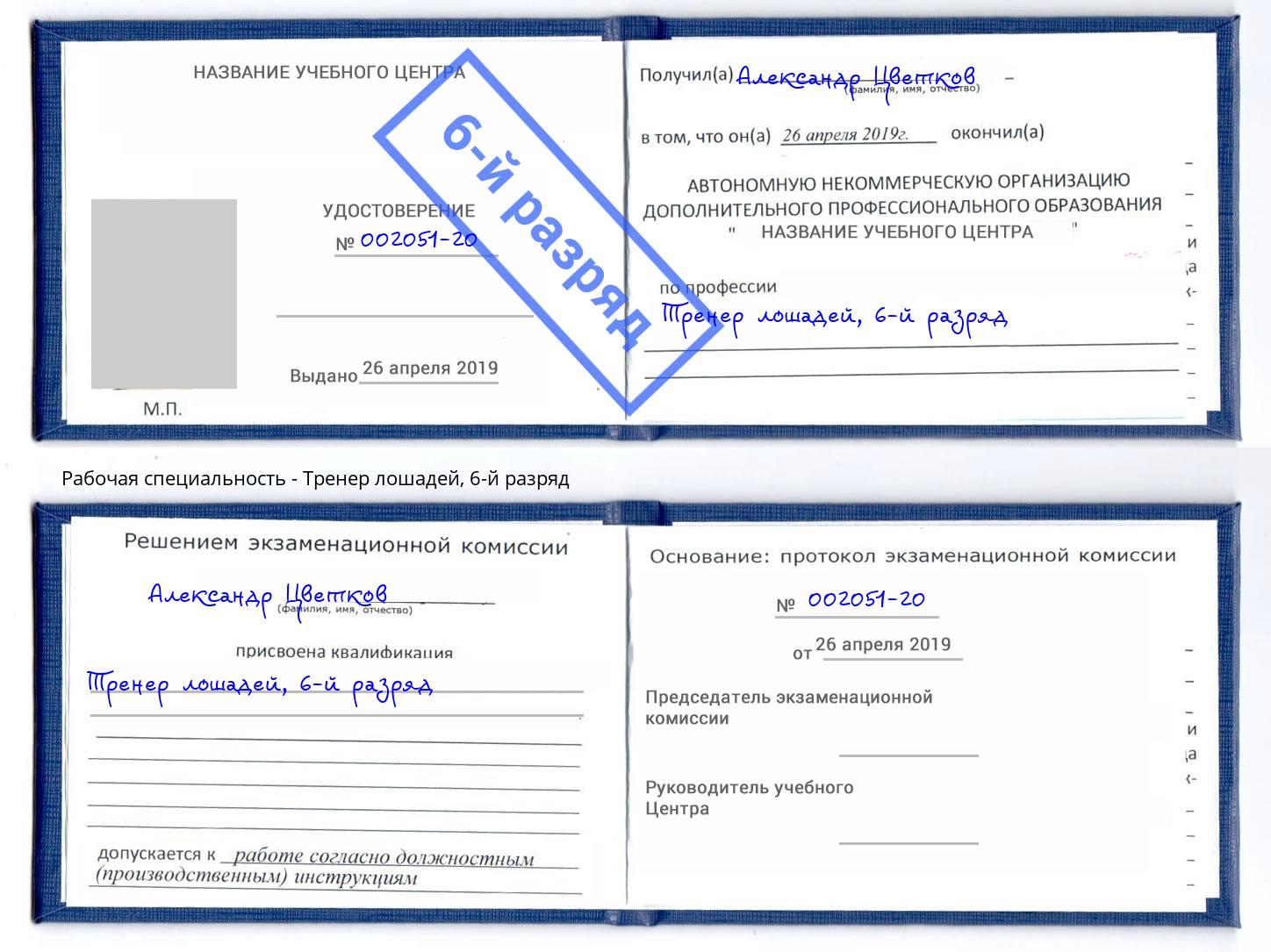 корочка 6-й разряд Тренер лошадей Асбест